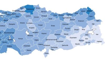Hane halkı İşgücü Araştırması sonuçlarına göre; 15 ve daha yukarı