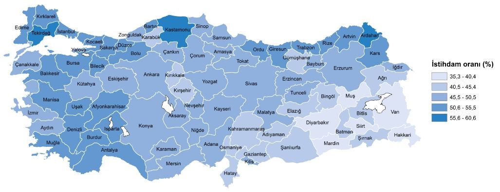 Hane halkı İşgücü Araştırması sonuçlarına göre; 15 ve daha yukarı