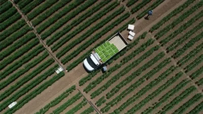 Tarım ÜFE, şubat ayında bir önceki aya göre yüzde 2,7