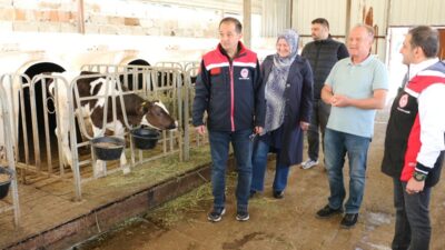 Erzincan tarım ve hayvancılık sektöründe yatırımlara devam ederken, hali hazırda