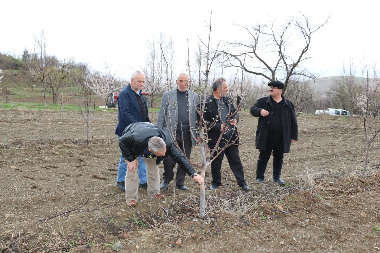Erzincan’da zorlu kış şartları birçok yaban hayvanını da zor durumda