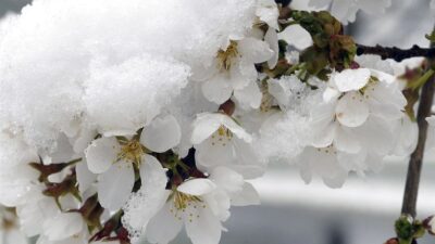 Marmara'nın güney ve doğusu, İç Anadolu, İç Ege, Göller Yöresi,