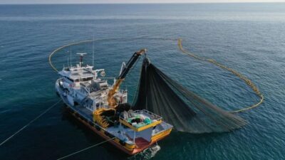 Tarım ve Orman Bakanlığı, su ürünleri avcılığına ilişkin kuralları yeniden