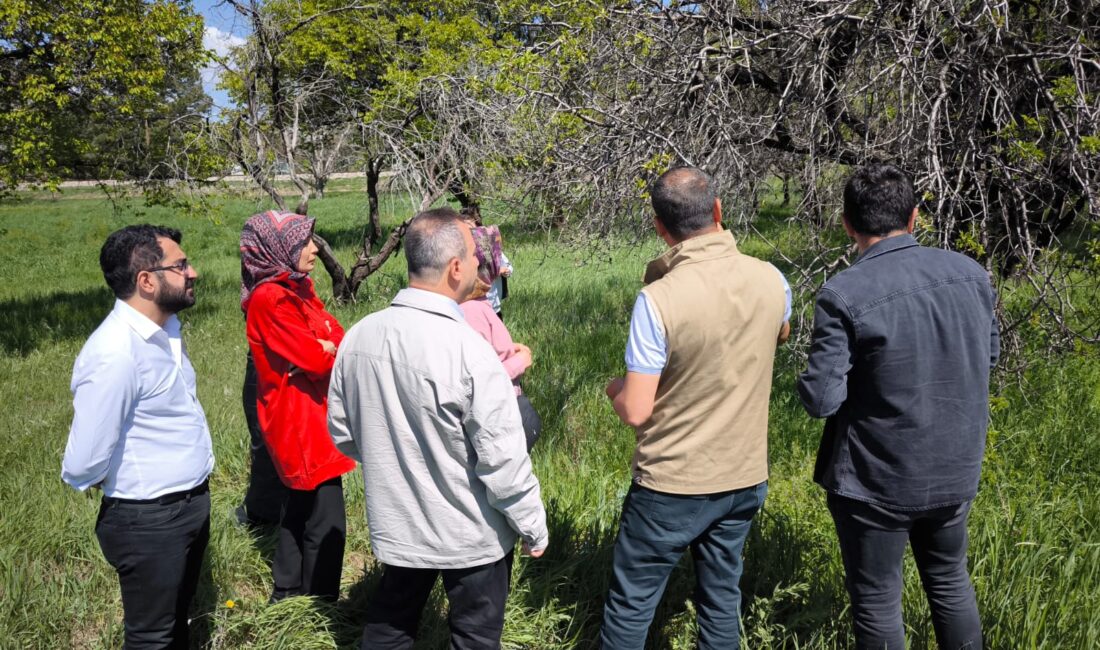 Erzincan’da Mart ayı içerisinde meydana gelen zirai don zararının ardından
