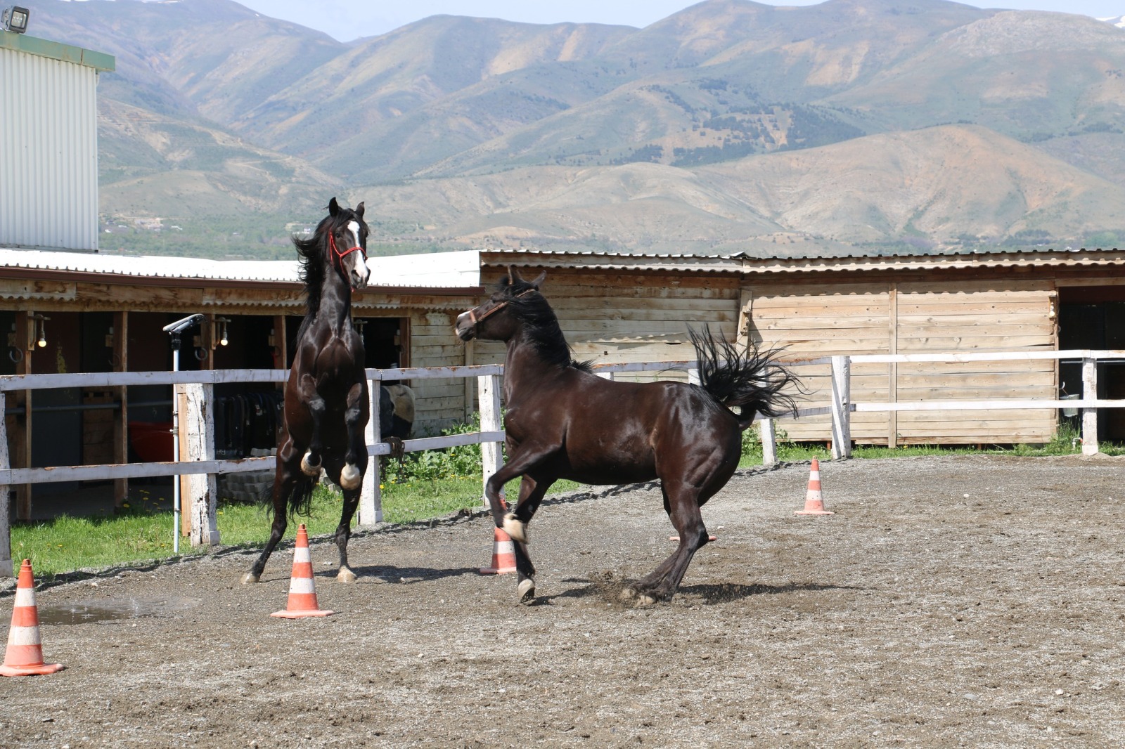 Tarım ve Orman Bakanlığı Erzincan’da bitkisel üretimden hayvancılığa, turizmden sanayiye