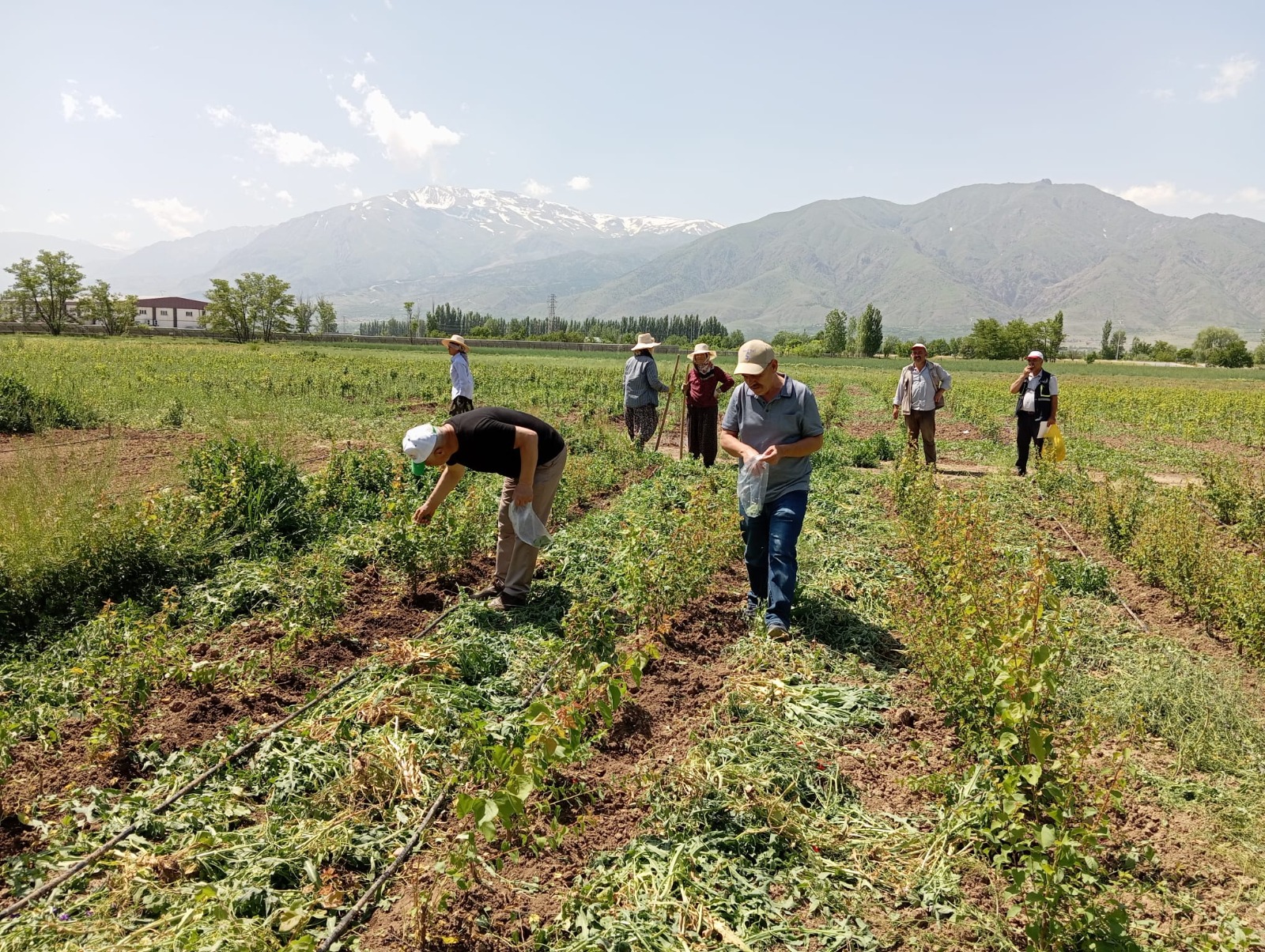 Erzincan’da tarım sezonunun başlamasının ardından Erzincan Tarım ve Orman İl