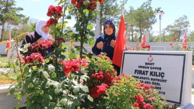 Van’ın Gürpınar İlçesi’nde terör örgütlerine karşı devam eden operasyonlar sırasında