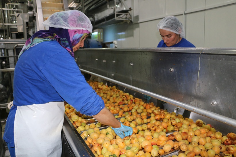 Erzincan’da Mart ayında genel ticaret sistemine göre ihracat 3 milyon