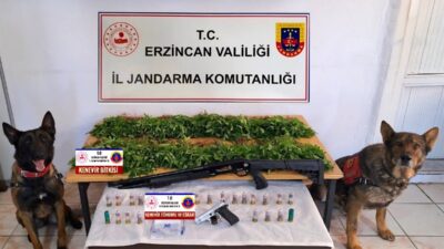 Erzincan Valiliği İl Jandarma Komutanlığı tarafından Tercan ilçesinde gerçekleştirilen operasyonda