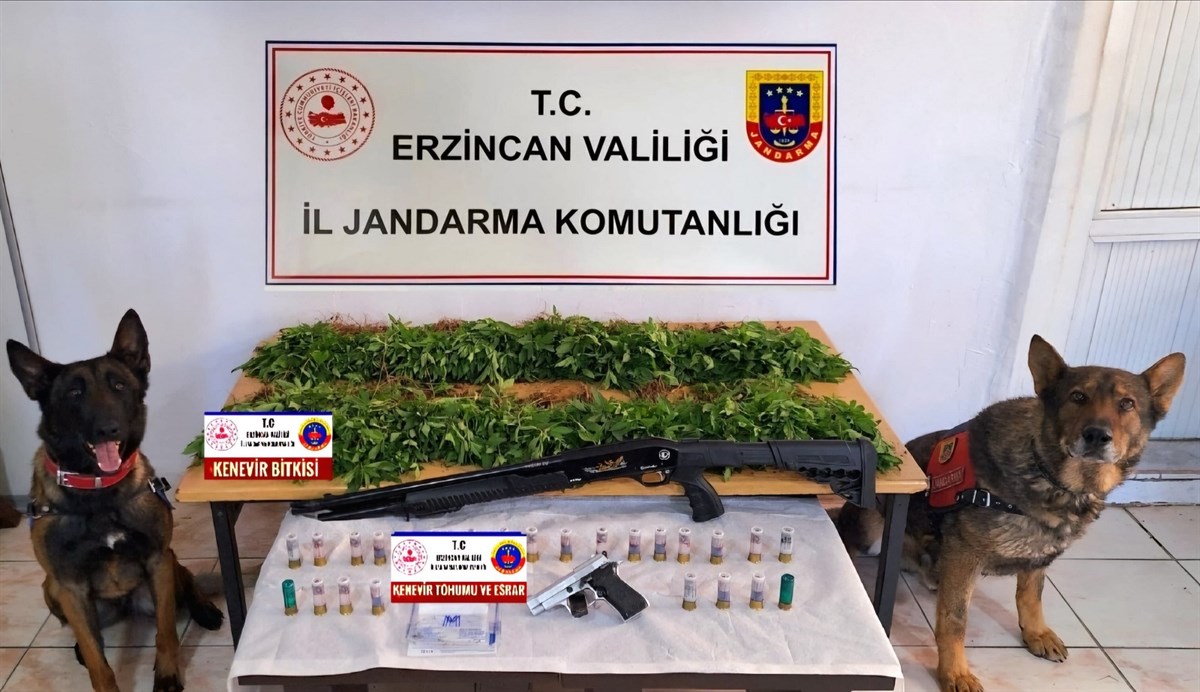 Erzincan Valiliği İl Jandarma Komutanlığı tarafından Tercan ilçesinde gerçekleştirilen operasyonda