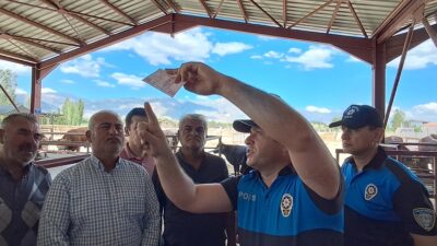 Yaklaşan Kurban Bayramı dolayısıyla Erzincan’da kurulan canlı hayvan pazarında İl