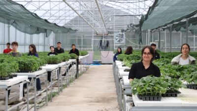 Erzincan Gül Celal Toraman Mesleki ve Teknik Anadolu Lisesi tarım
