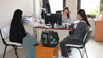 Evcil hayvanlara çip taktırmak Kedi, Köpek ve Gelinciklerin Kimliklendirilmesi ve