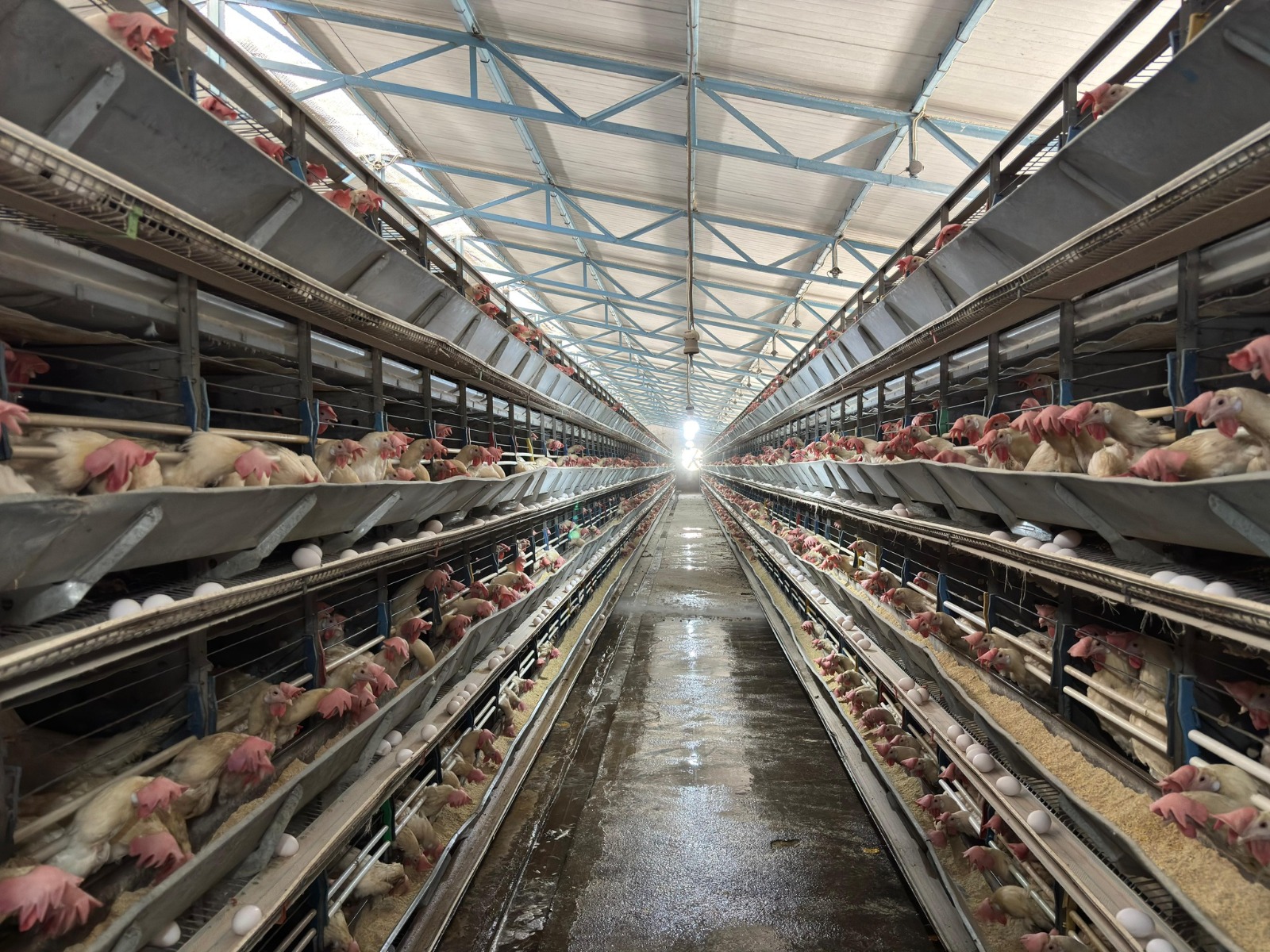 Erzincan’da uzun bir geçmişe sahip olan, Erzincan ekonomisine daima katkı