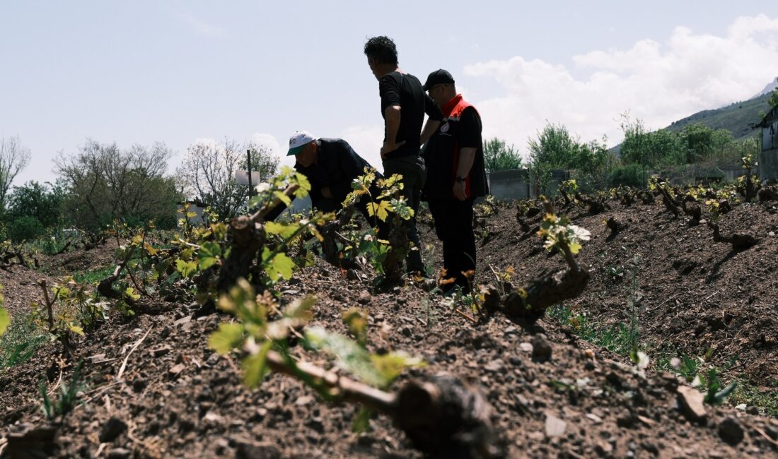 Erzincan Tarım ve Orman İl Müdürlüğü Bitkisel Üretim ve Bitki