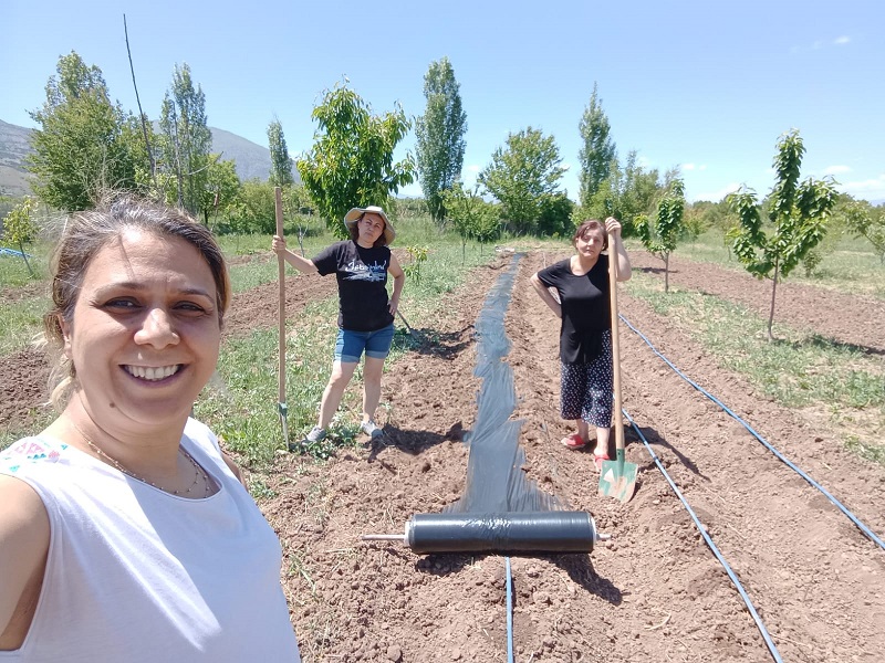 Erzincan’da baharın tekrar yüzünü göstermesiyle birlikte Erzincan tarlaları da hareketlendi.