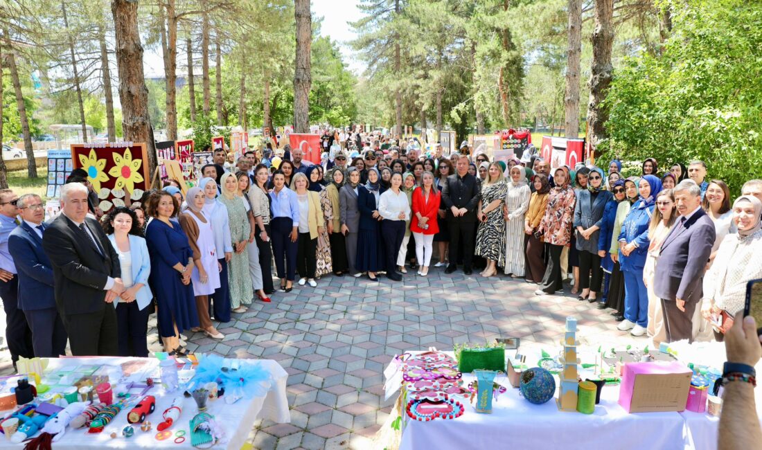 Erzincan Valiliği himayelerinde İl Milli Eğitim Müdürlüğü tarafından hayata geçirilen