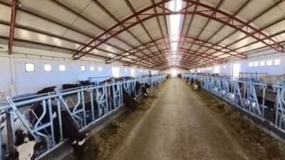 Erzincan Damızlık Sığır Yetiştiricileri Birliği ile Erzincan Ticaret ve Sanayi