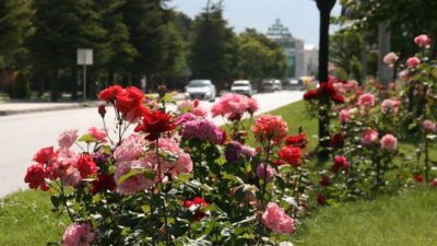 Türkiye genelinde Kurban Bayramı süresince sıcak ve genellikle yağışsız bir