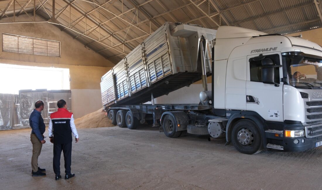 Haziran ayı sonlarına yaklaştığımız bugünlerde üreticiler yavaş yavaş hasat sezonunu