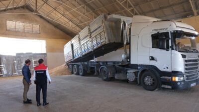 Haziran ayı sonlarına yaklaştığımız bugünlerde üreticiler yavaş yavaş hasat sezonunu