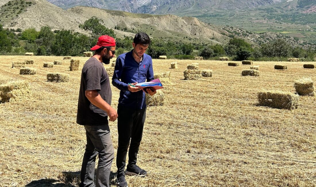 Erzincan son yıllarda yem bitkisi ekilişi alanlarında artış görünüyor. Tarım