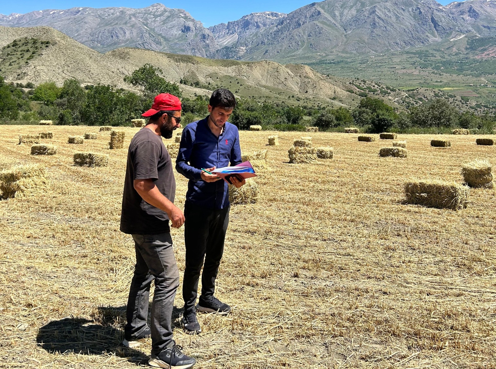 Erzincan son yıllarda yem bitkisi ekilişi alanlarında artış görünüyor. Tarım