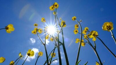 AKOM, Çarşamba gününden itibaren etkili olacak sıcak hava dalgasına karşı