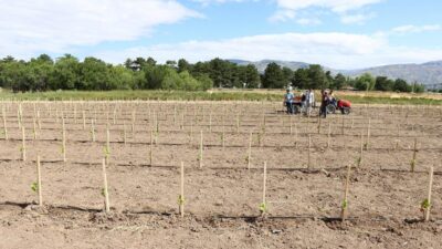 Erzincan, gelecek nesillere aktarılmak üzere atalarımızdan devraldığımız genotipleri korumak amacıyla