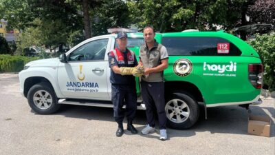 Erzincan İl Jandarma Komutanlığı Üzümlü ilçesi Bayırbağ köyünde görevli devriye