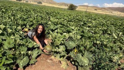 Birçok tarımsal ürünün yetiştirildiği Erzincan ve ilçelerinde ürün desenine yeni
