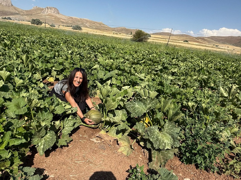 Birçok tarımsal ürünün yetiştirildiği Erzincan ve ilçelerinde ürün desenine yeni