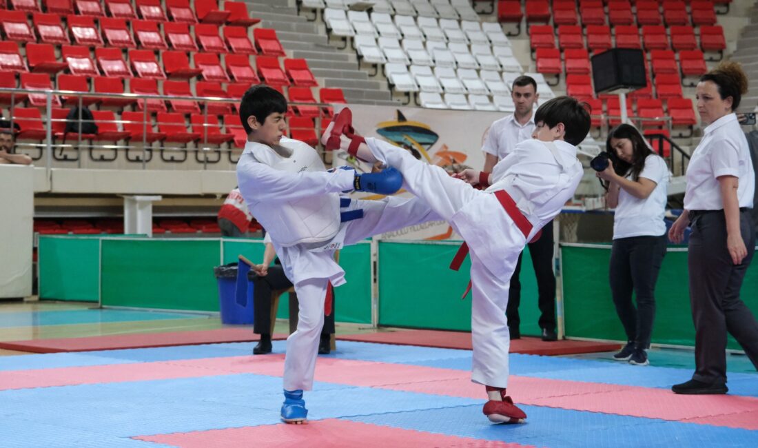Anadolu Yıldızlar Ligi Karate Grup Müsabakaları, Erzincan'da düzenlenen açılış töreniyle