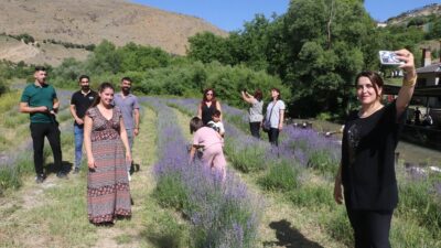 Erzincan’ın Çağlayan Beldesinde emekli öğretmen tarafından kurulan mor lavanta bahçesi