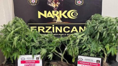 Uyuşturucu ile mücadelesini aralıksız sürdüren Erzincan Polisi gerçekleştirdiği çalışma kapsamında,