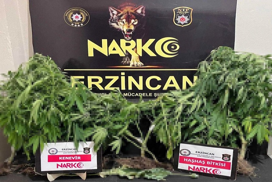 Uyuşturucu ile mücadelesini aralıksız sürdüren Erzincan Polisi gerçekleştirdiği çalışma kapsamında,