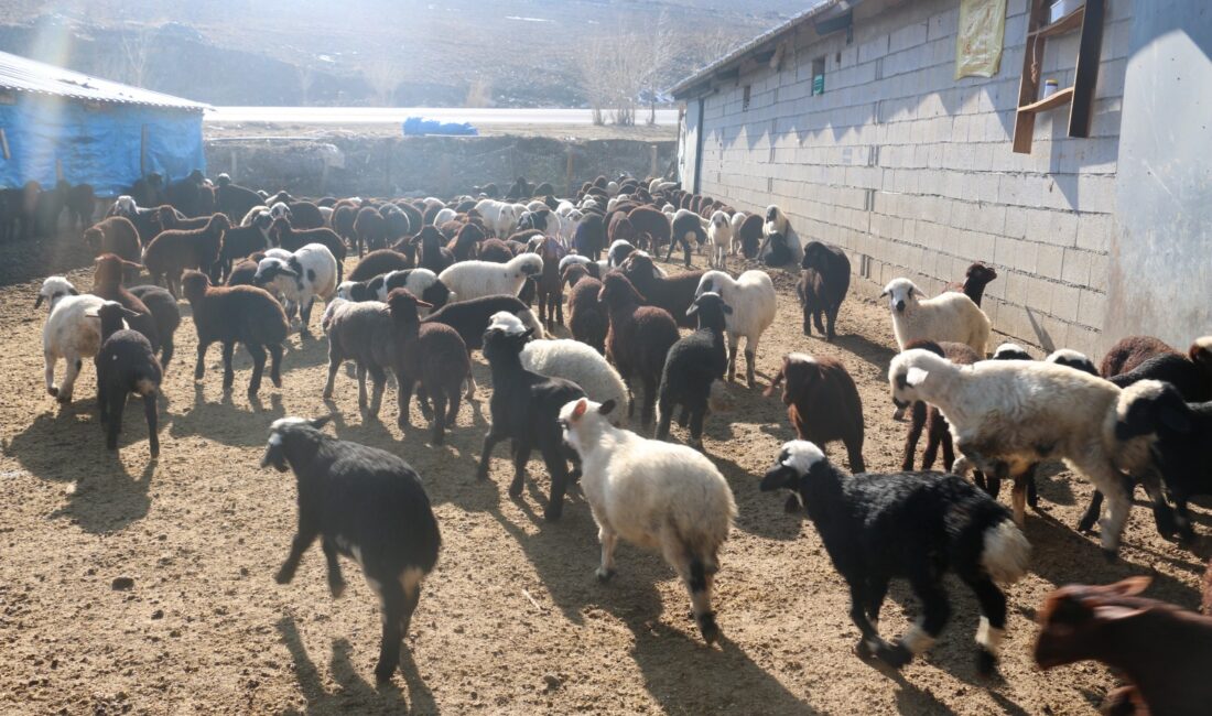 Erzincan’da 2020 yılında başlatılan “Köyümde Yaşamak İçin Bir Sürü Nedenim