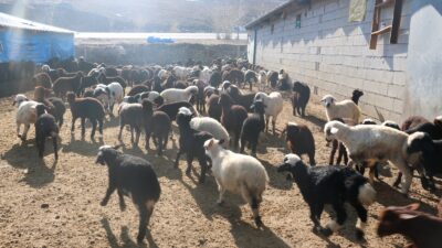 Erzincan’da 2020 yılında başlatılan “Köyümde Yaşamak İçin Bir Sürü Nedenim