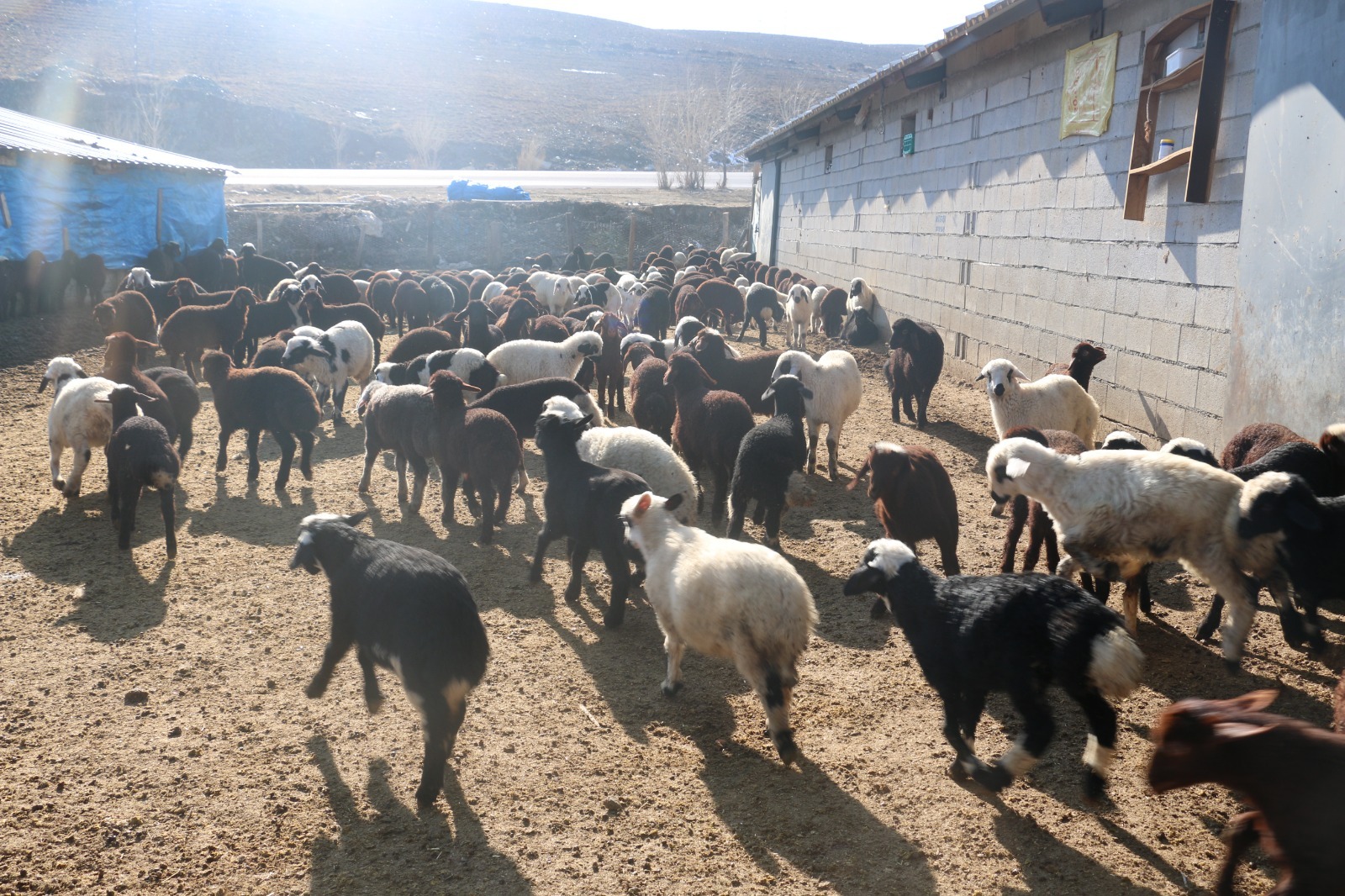 Erzincan’da 2020 yılında başlatılan “Köyümde Yaşamak İçin Bir Sürü Nedenim