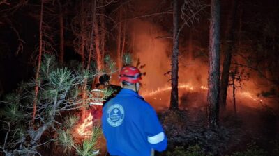 Türkiye Diyanet Vakfı orman yangınlarının yaşandığı bölgelerde söndürme ve soğutma