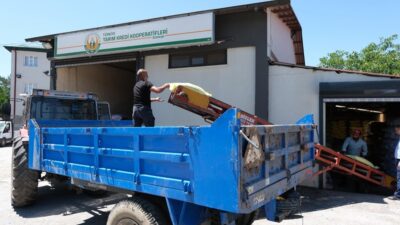 430 bin hektarlık mera alanı bulunan Erzincan’da köy muhtarlıklarının talebi