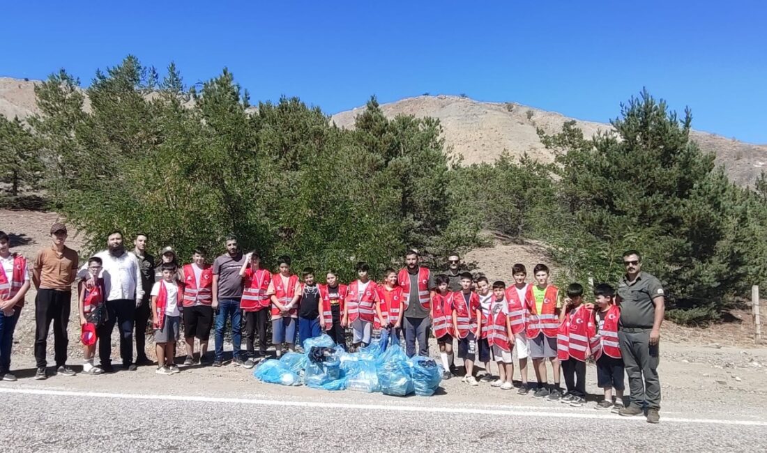 Yaz döneminde kırsal bölgelerdeki ağaçlık alanlar daha fazla çöpe maruz