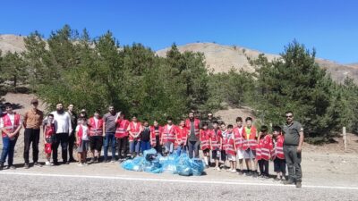 Yaz döneminde kırsal bölgelerdeki ağaçlık alanlar daha fazla çöpe maruz