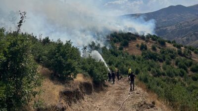 Erzincan’ın İliç ilçesine bağlı Bağcuğaz köyünde çıkan orman ve mera