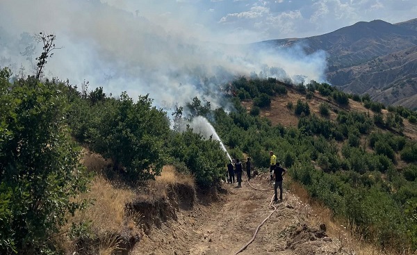 Erzincan’ın İliç ilçesine bağlı Bağcuğaz köyünde çıkan orman ve mera
