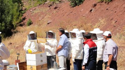 Erzincan Valisi Hamza Aydoğdu, Kentin önemli tarımsal ürünlerinden biri olan