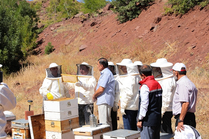 Erzincan Valisi Hamza Aydoğdu, Kentin önemli tarımsal ürünlerinden biri olan