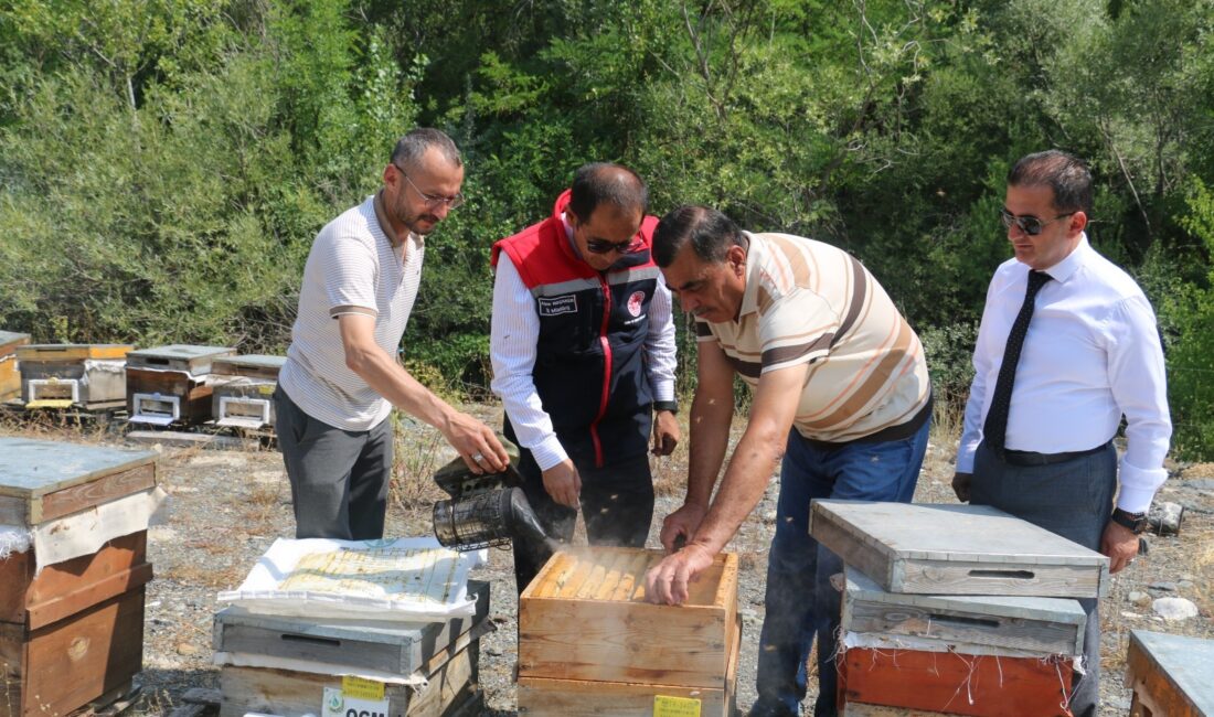 Ağustos ayının gelmesiyle birlikte Erzincan’ın meşhur geven balında hasat telaşı