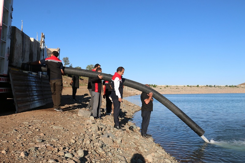 Erzincan doğal ve temiz su kaynakları ile su ürünleri yetiştiriciliği