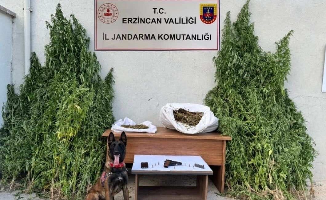 Erzincan Valiliği İl Jandarma Komutanlığı tarafından Refahiye ilçesinde gerçekleştirilen operasyonda